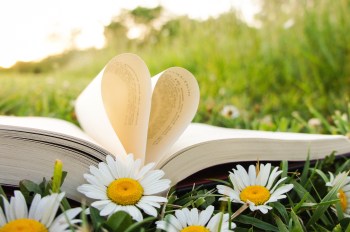 Best romance authors: feature image book with heart pages in a field