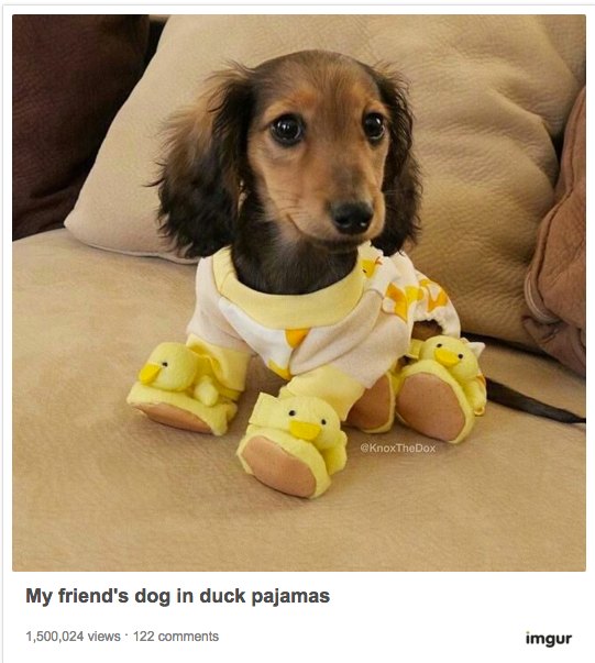 Dog Pajamas Duck Feet