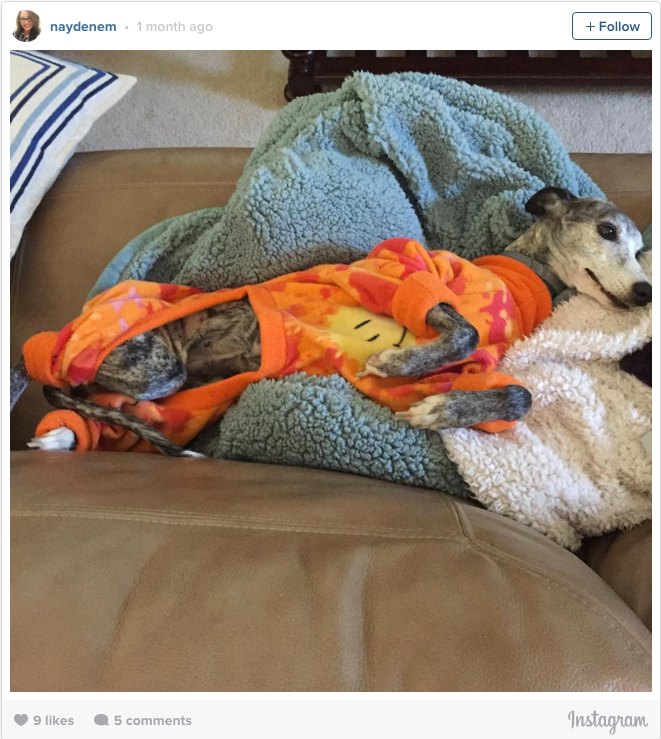 Dog Pajamas Whippet Smiley Face