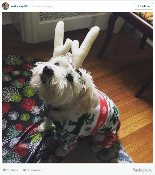 Dog Pajamas Antlers