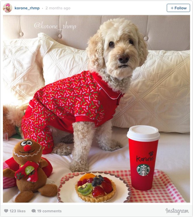 Dog Pajamas Breakfast Bed