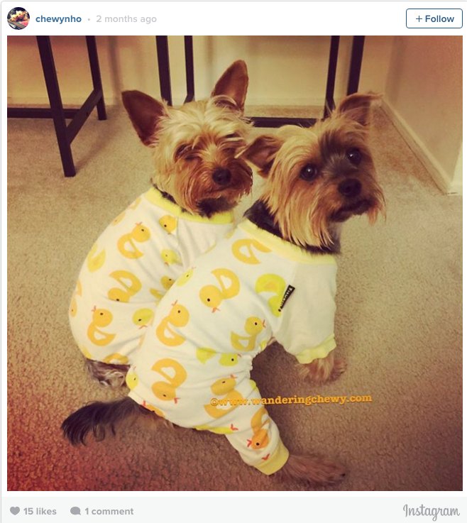 Dog Pajamas Twin Yorkies