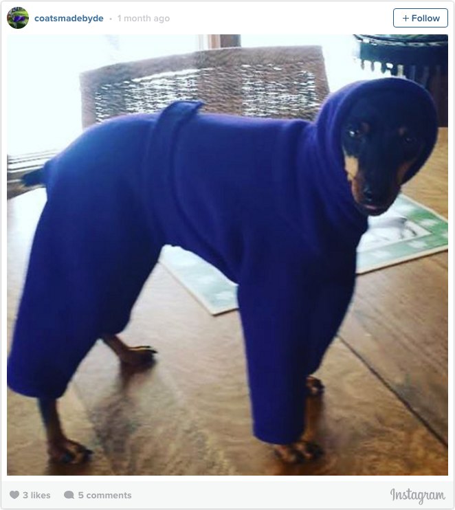 Dog Pajamas Snuggie