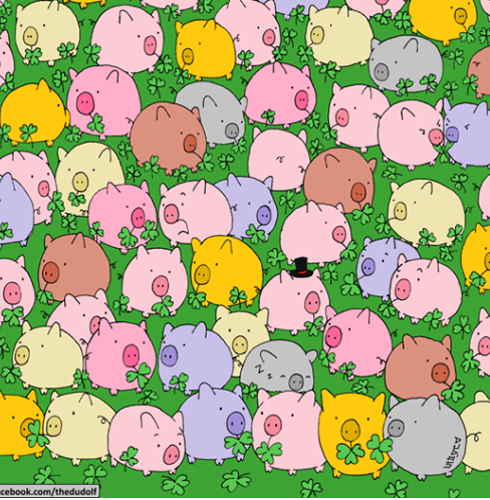 Pigs In Clover