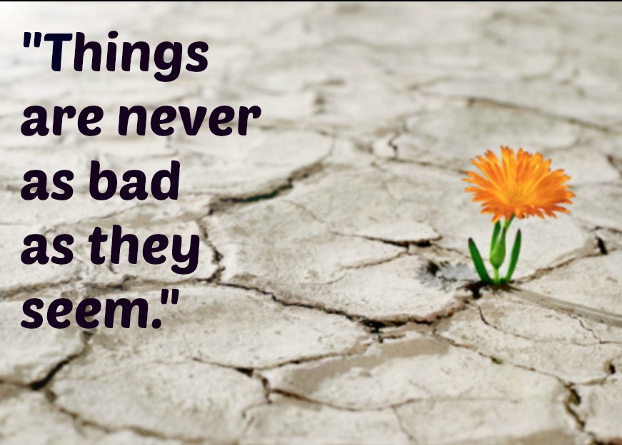 Harper Lee quote things are never as bad