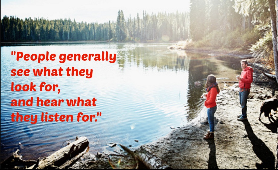 Harper Lee quote people see