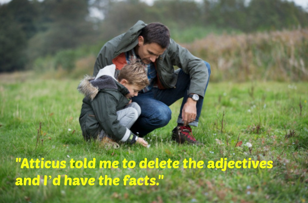 Harper Lee quote adjectives facts