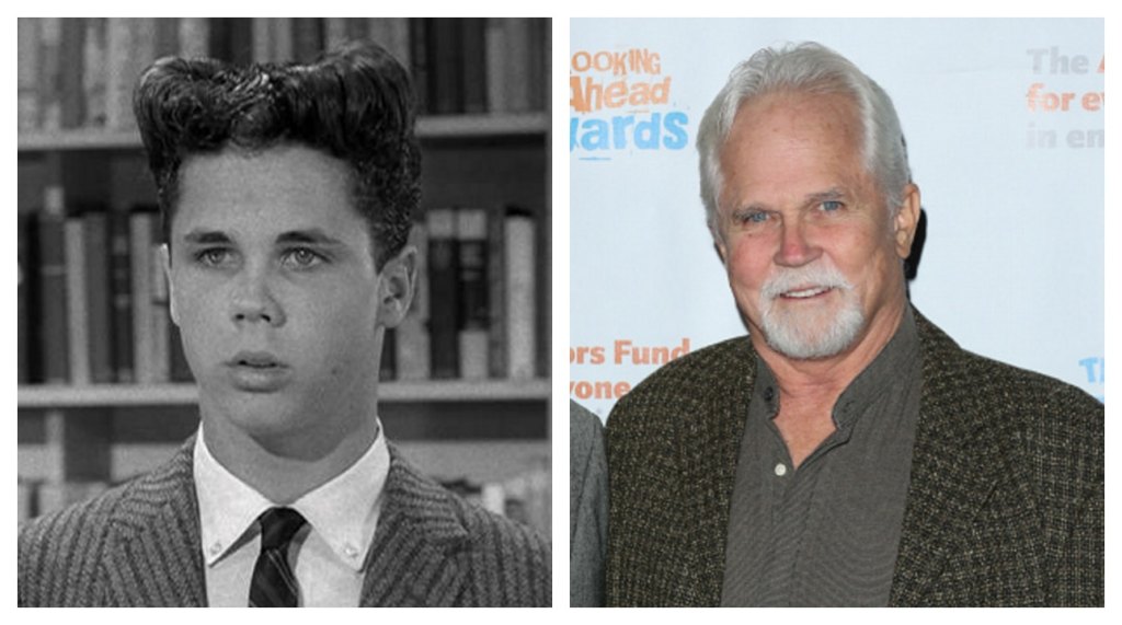 Leave it to Beaver 2