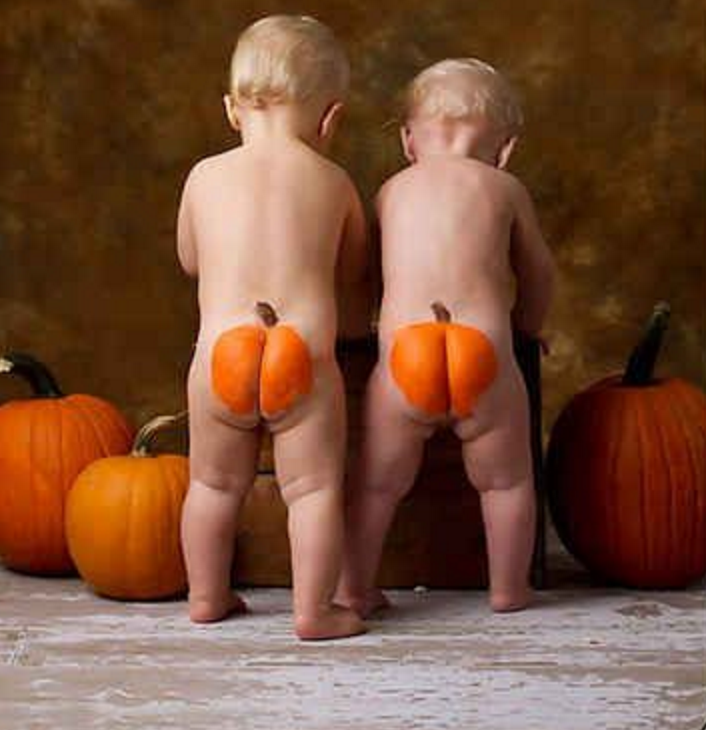 cute twin baby photos pumpkin bums