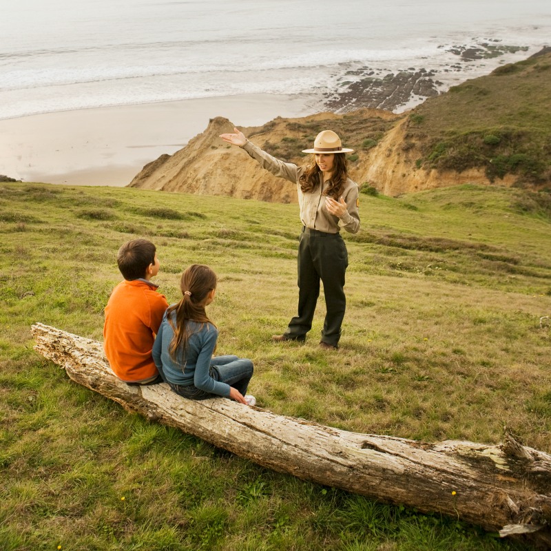 Eyebrow Shape Park Ranger