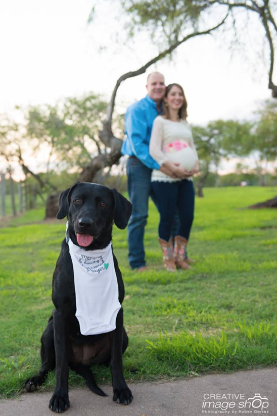 Maternity Photobombs Dog