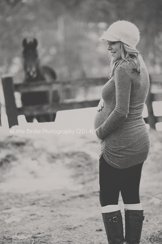 Maternity Photobombs Horse