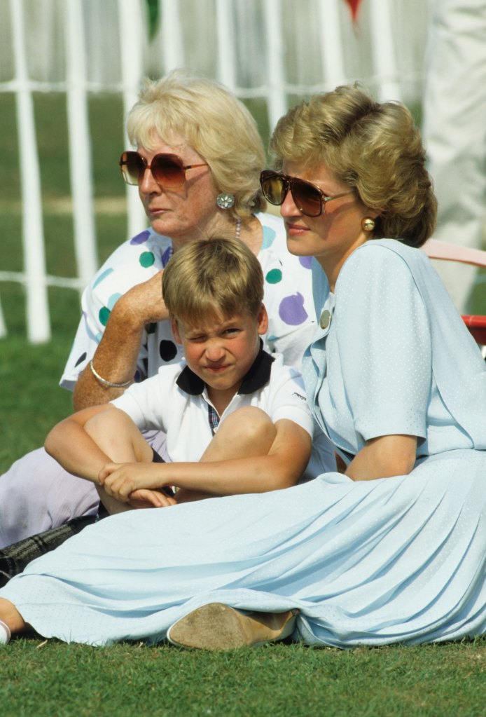 Prince William Princess Diana 1989 Frances Shand Kydd