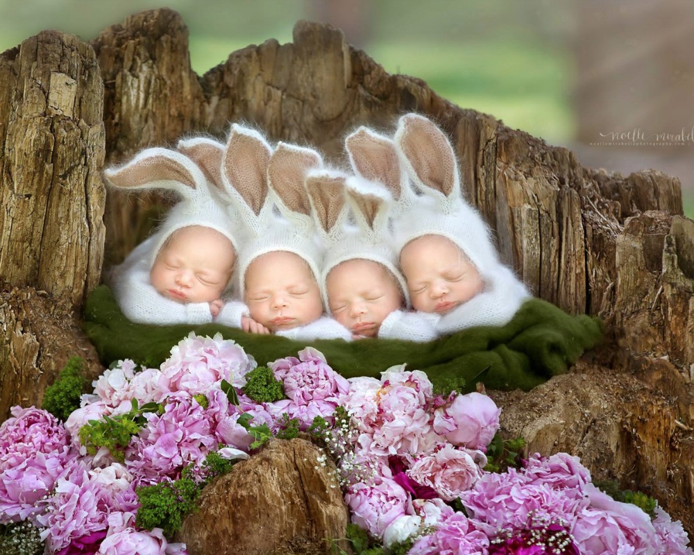 Adorable Multiples Photo Shoot Bears