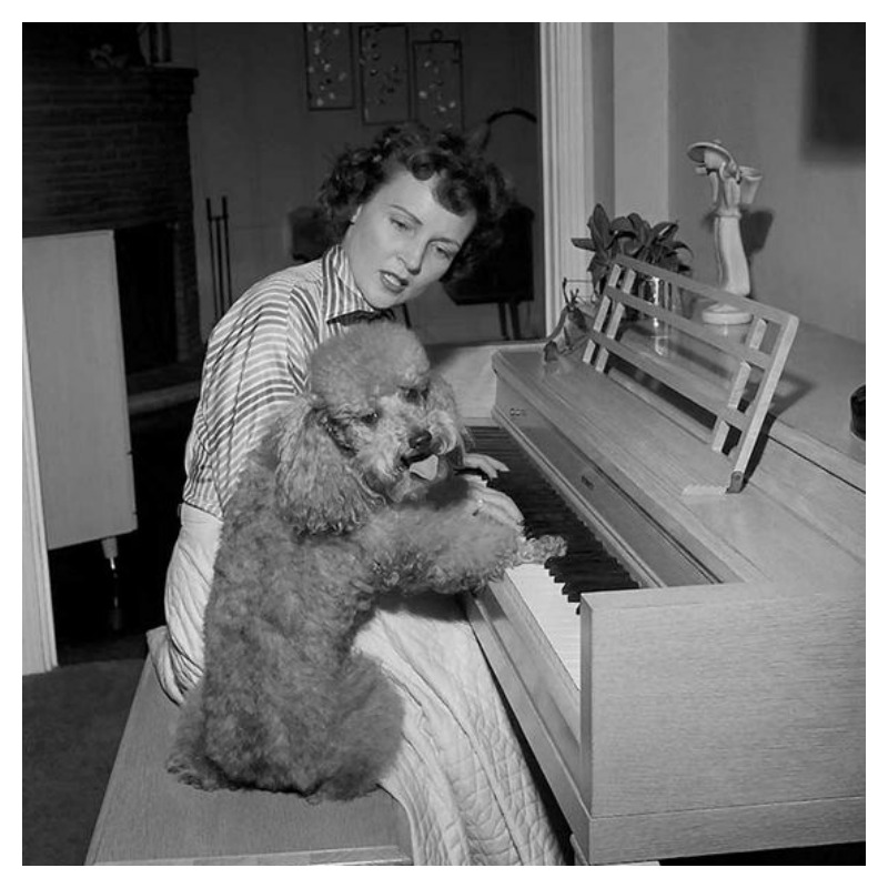 Classic Hollywood Betty White