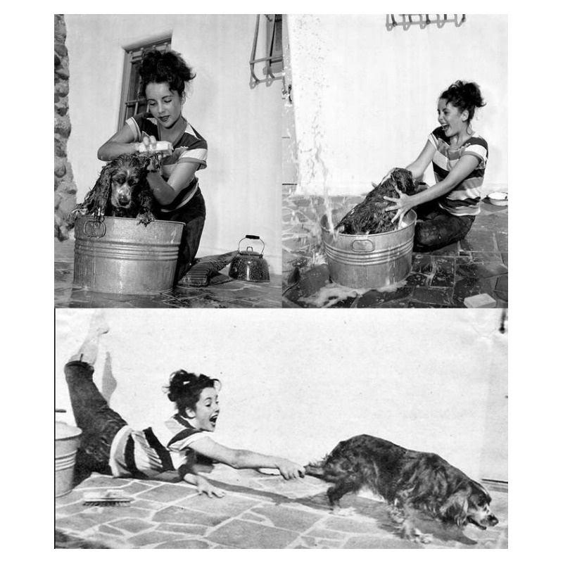 Classic Hollywood Elizabeth Taylor