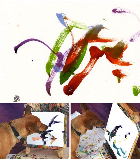 Netop The Dog Painter