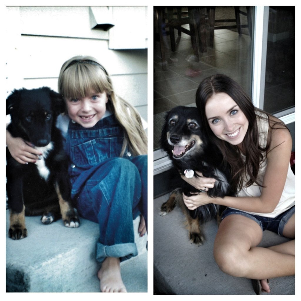 12 Recreated Pet Photos 11