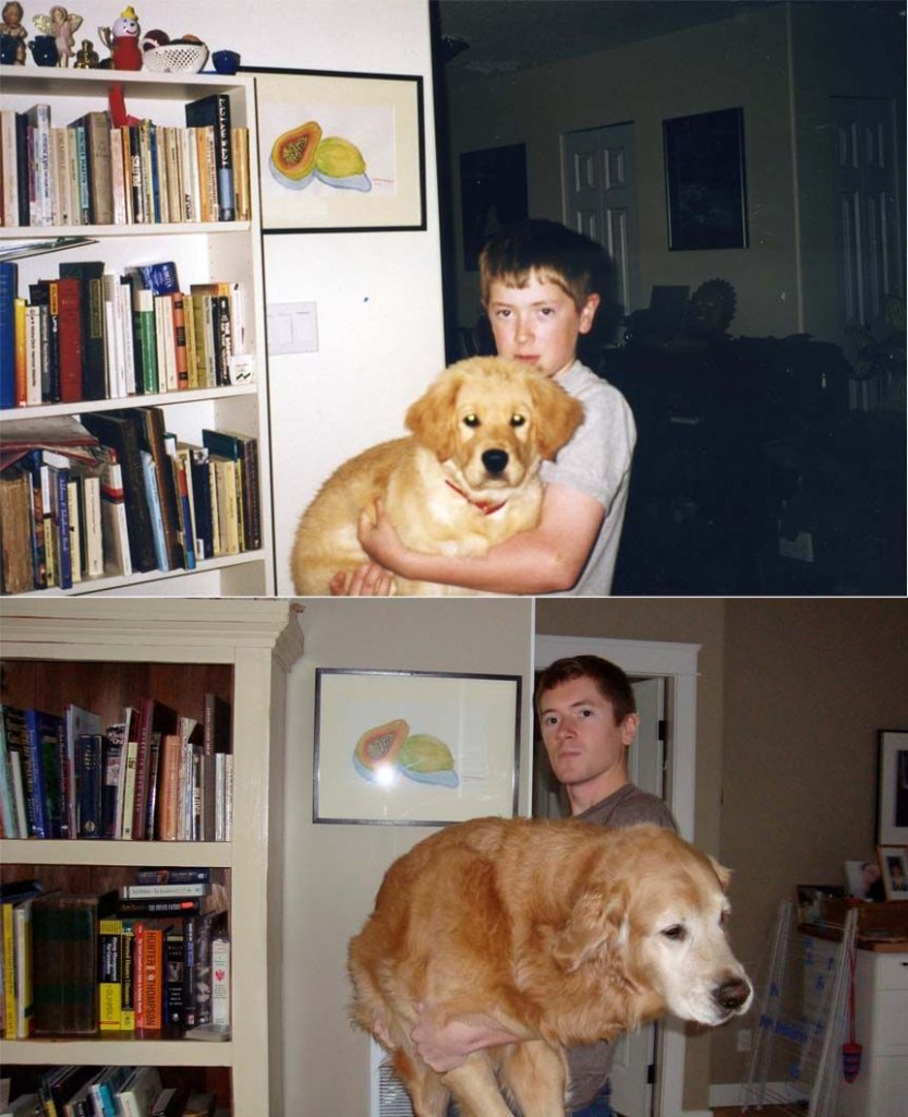 12 Recreated Pet Photos 3