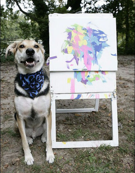 sammy dog artist