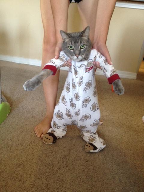 Newborn Baby Pets 17