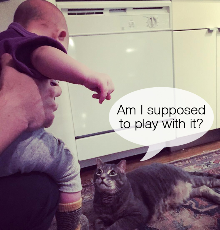 Cat Meets Baby 12