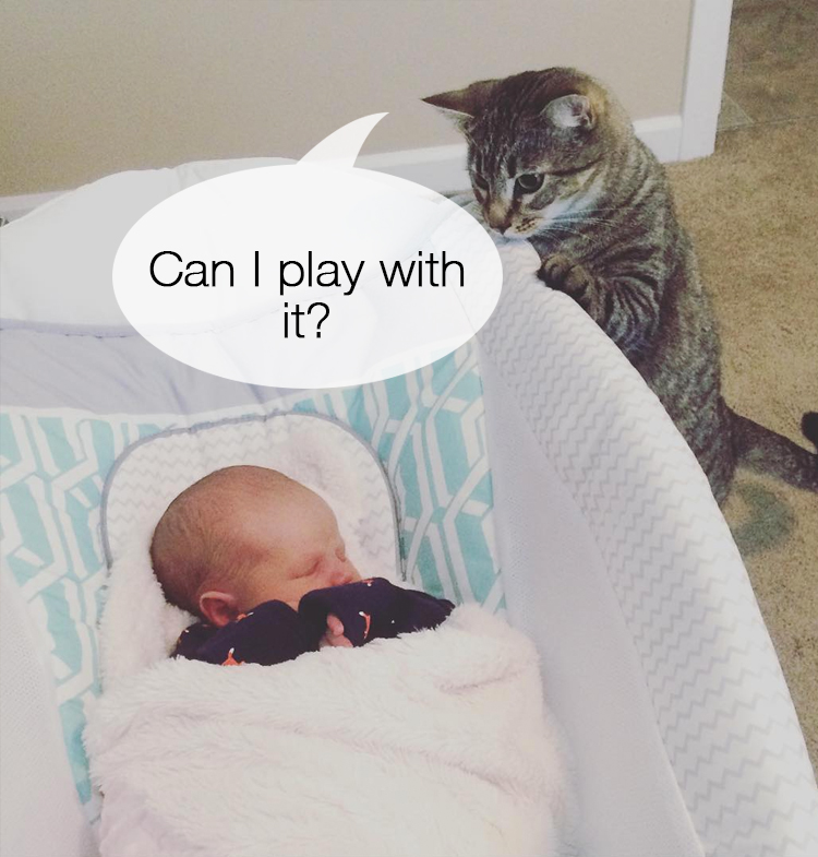 Cat Meets Baby 15