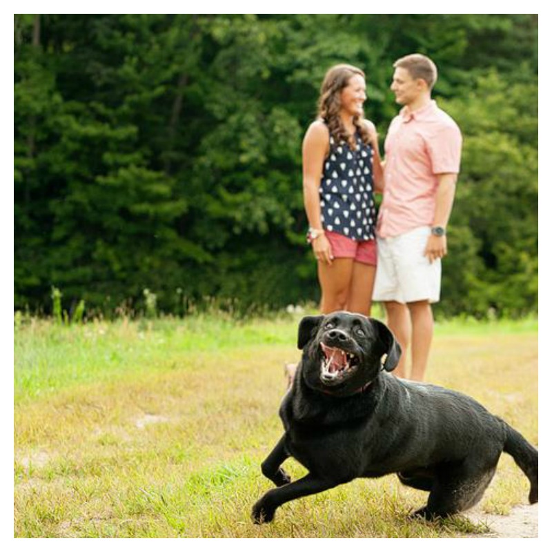 Engagement Photobombs Dog