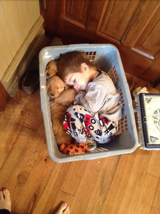Kids Sleeping Laundry Basket