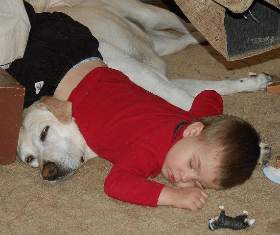 Kids Sleeping On Dog