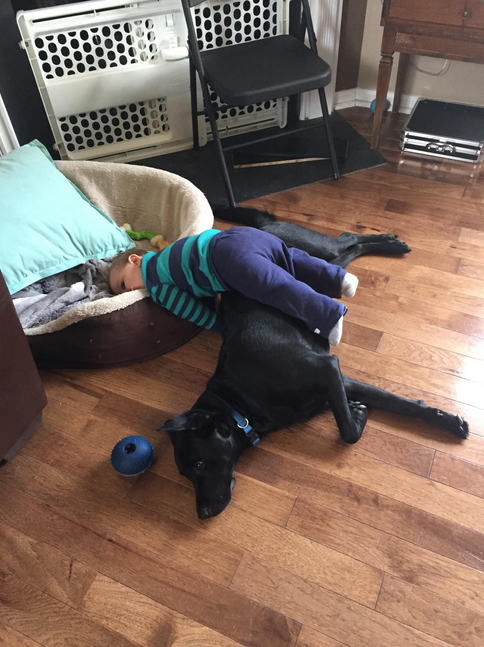 Kids Sleeping Position Dog Bed