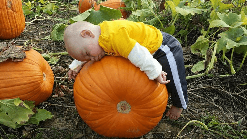 Kids Sleeping Pumpkin