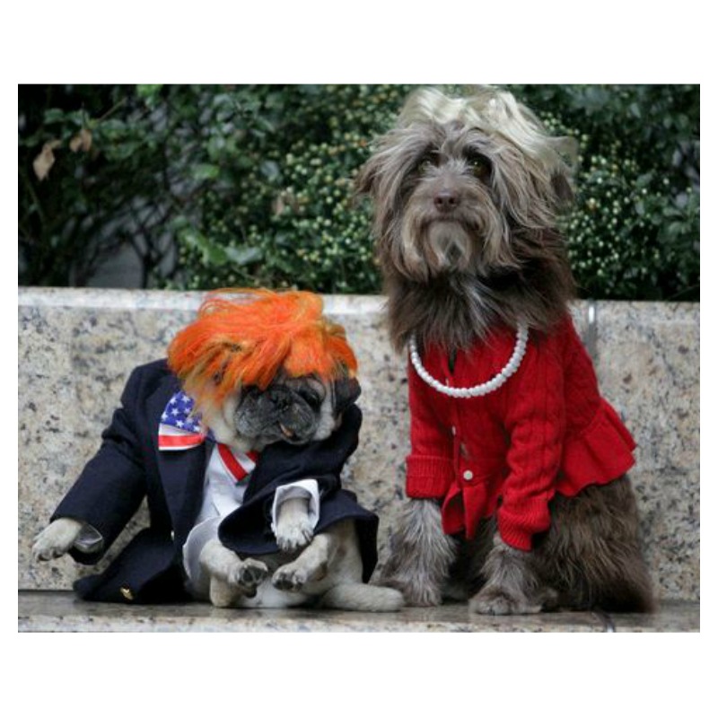 Election 2016 Halloween Dogs