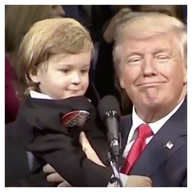 Election 2016 Trump Baby