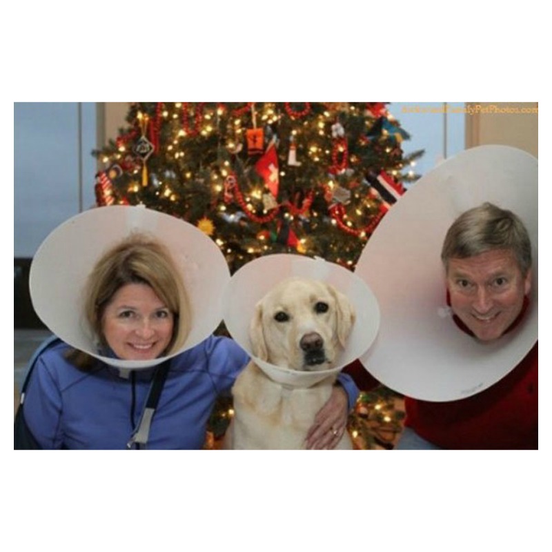 Unconventional Christmas Cards 11