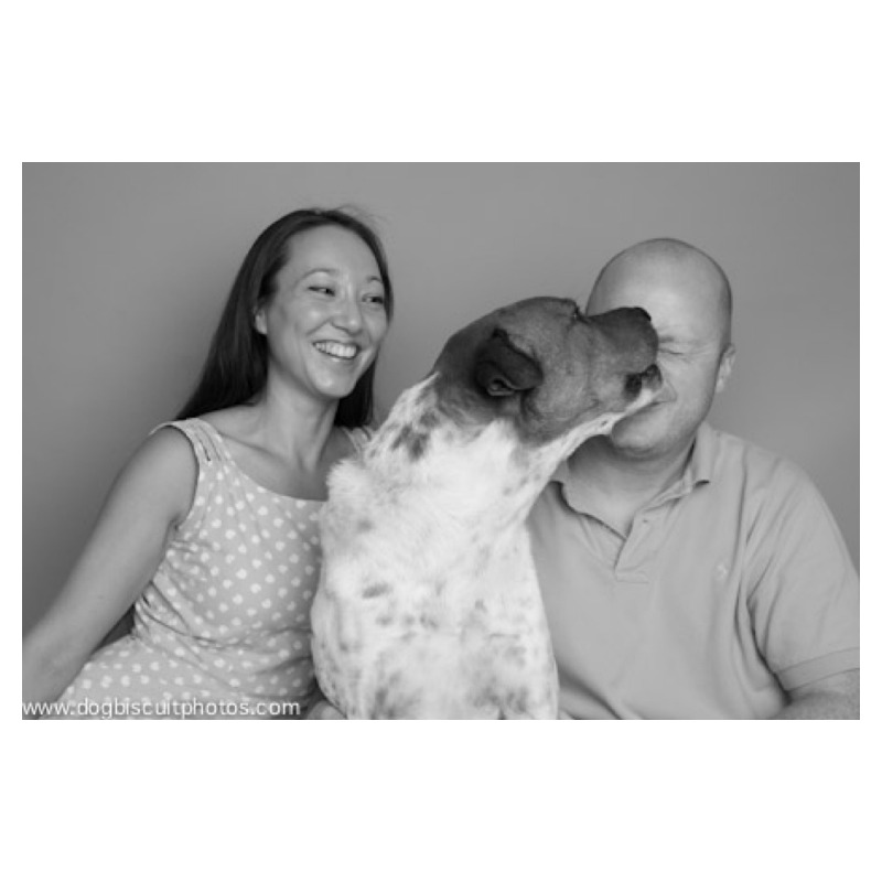 Unconventional Christmas Cards 12