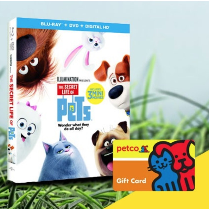 Win $600 to Petco