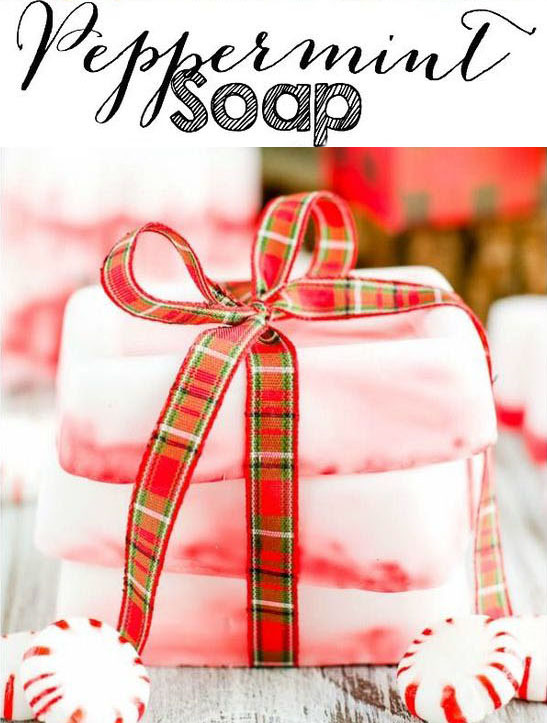 Diy Holiday Gift 3 1