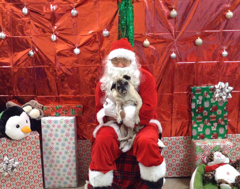Dogs Meeting Santa 1