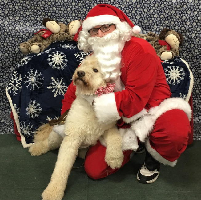 Dogs Meeting Santa 12