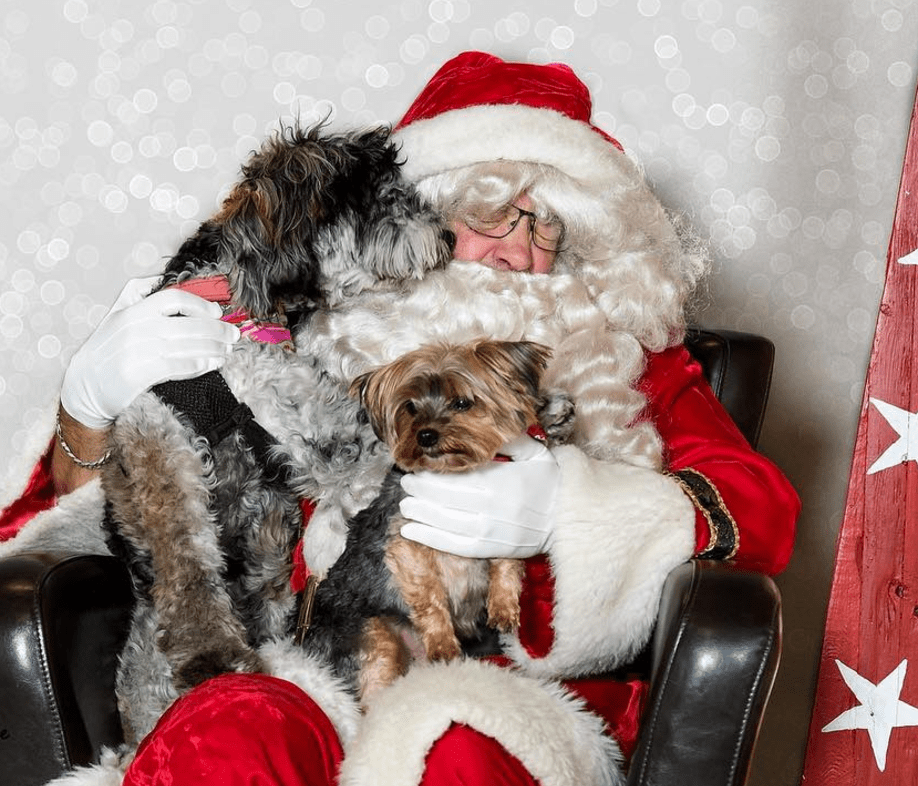 Dogs Meeting Santa 2