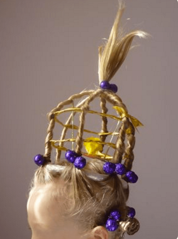 crazy hair day birdcage