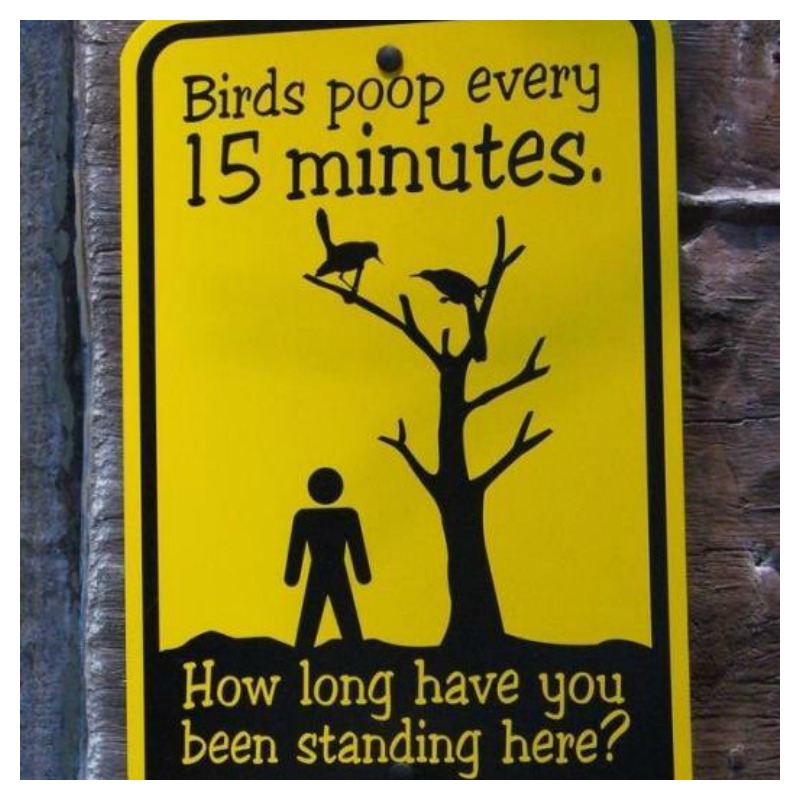 Warning Signs Bird