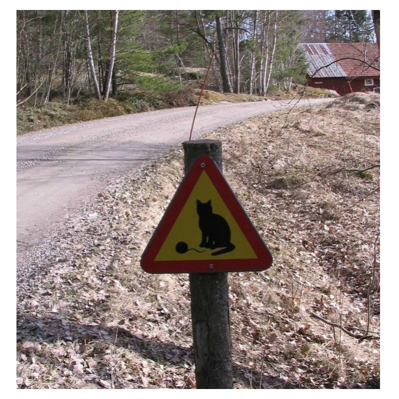 Warning Signs Cat