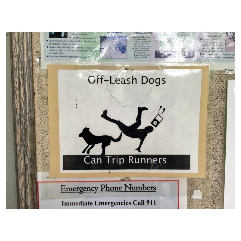 Warning Signs Leash