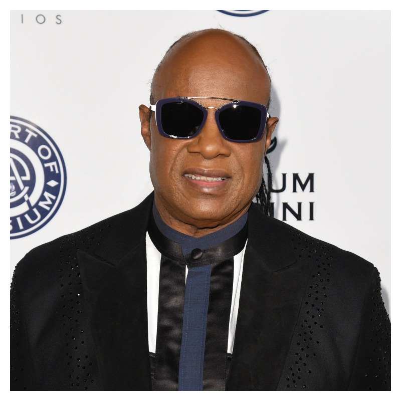 Famous Vegans Stevie Wonder