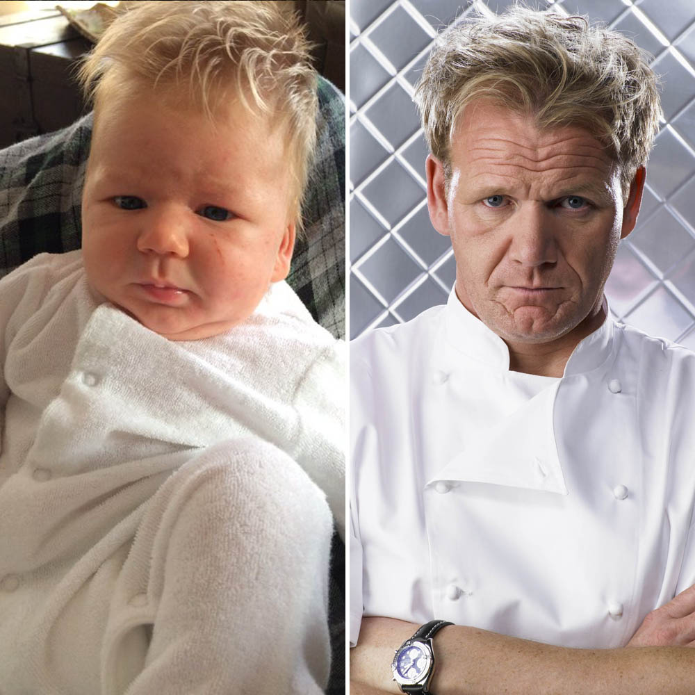 Gordon Ramsay Baby Doppelganger