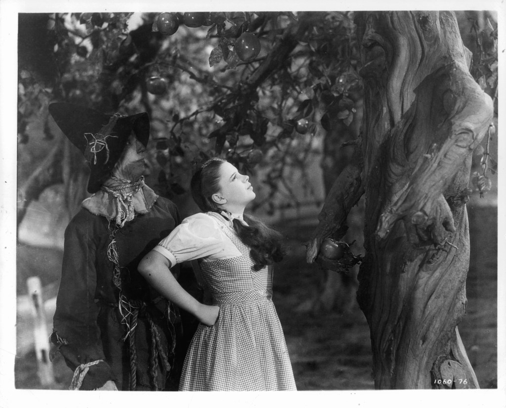 Ray Bolger as the Scarecrow and Judy Garland look up at a tree in a scene from the film 'The Wizard Of Oz', 1939. (Wizard of Oz behind the scenes)