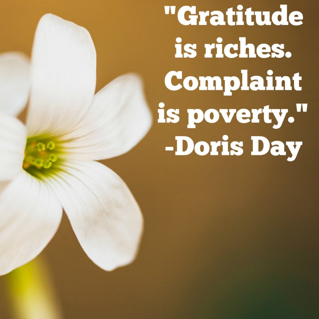 Gratitude Quotes 12