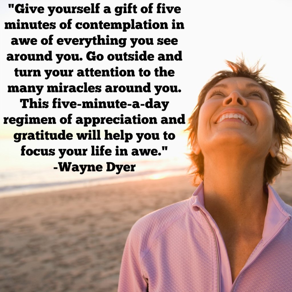 Gratitude Quotes 9